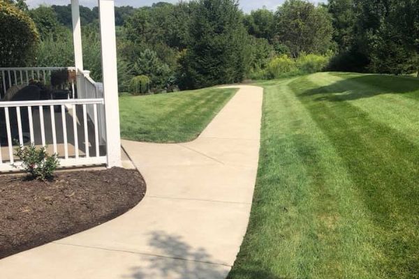 Pavaj după curățare